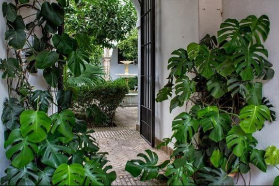 Apartamento En Un Dormitorio En Plaza Alfaro Sevilla Bagian luar foto